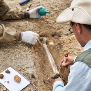 Pietų Afrikoje atrastas mažiausias žinomas žmogaus giminaitis