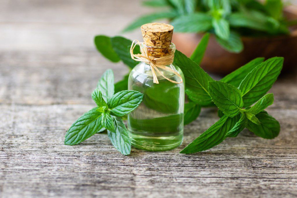 Pipirmėčių aliejus gerina plaukų būklę