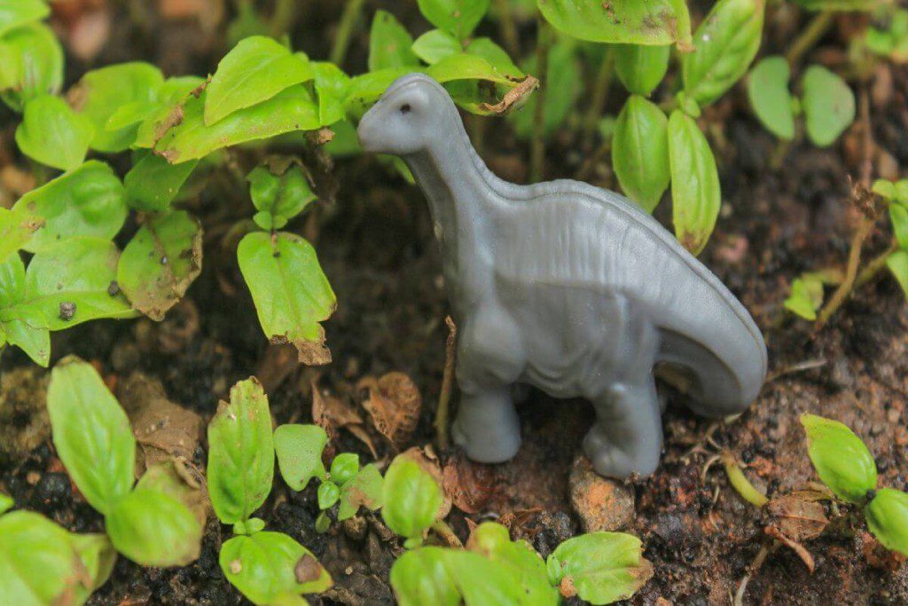 5 smagios sodo veiklų idėjos su vaikais. Dinozaurų ir fėjų sodas