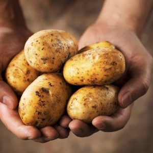 8 mitai apie maisto produktus: kas nepelnytai šmeižiamas?