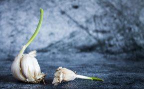 Ar galima valgyti sudygusį česnaką? Atsakymas išties nustebins