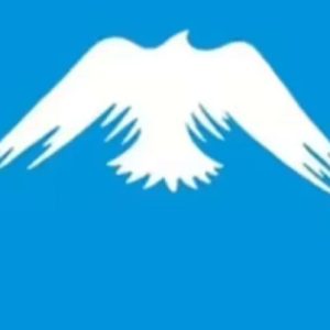 Asmenybės testas. Charizma ar darbštumas? Medium.com