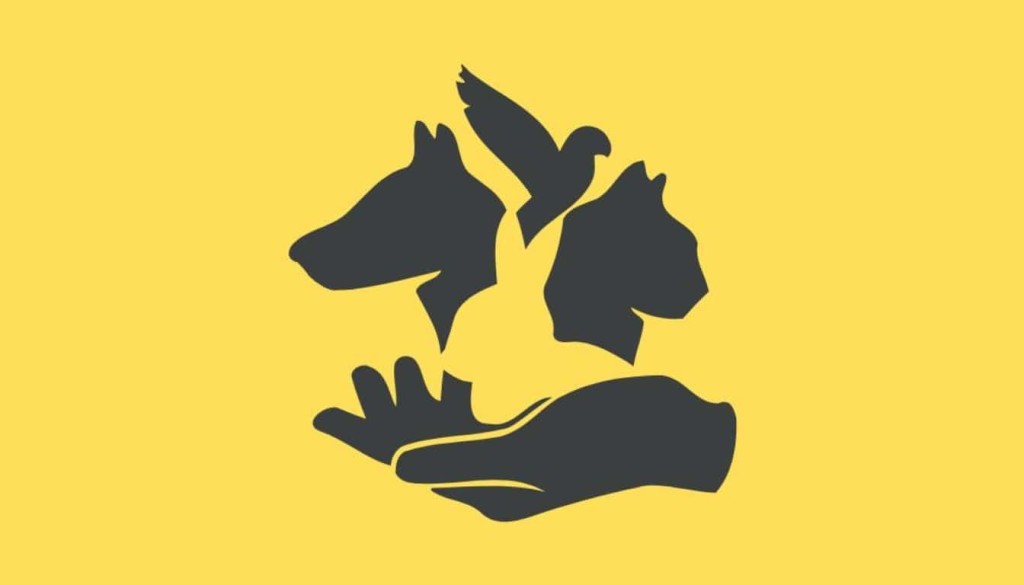 Asmenybės testas: kaip reaguojate esant dideliams spaudimui. abmeyerwood.com
