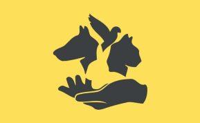 Asmenybės testas: kaip reaguojate esant dideliams spaudimui. abmeyerwood.com