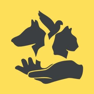Asmenybės testas: kaip reaguojate esant dideliams spaudimui. abmeyerwood.com