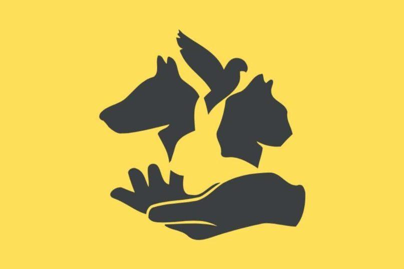 Asmenybės testas: kaip reaguojate esant dideliams spaudimui. abmeyerwood.com