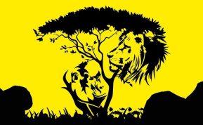 Asmenybės testas: kokius įsitikinimus turite pasąmonėje. Abmeyerwood.com