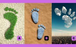 Asmenybės testas: pasirinkta pėda atskleis, kas jus varo į priekį. Šaltinis: abmeyerwood.com