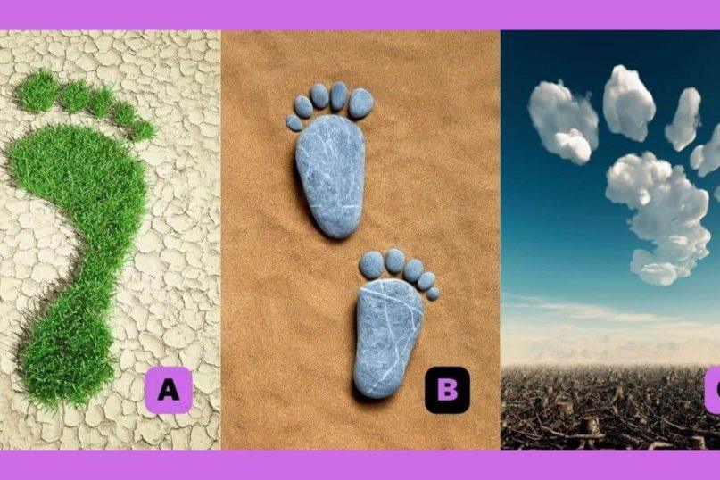 Asmenybės testas: pasirinkta pėda atskleis, kas jus varo į priekį. Šaltinis: abmeyerwood.com