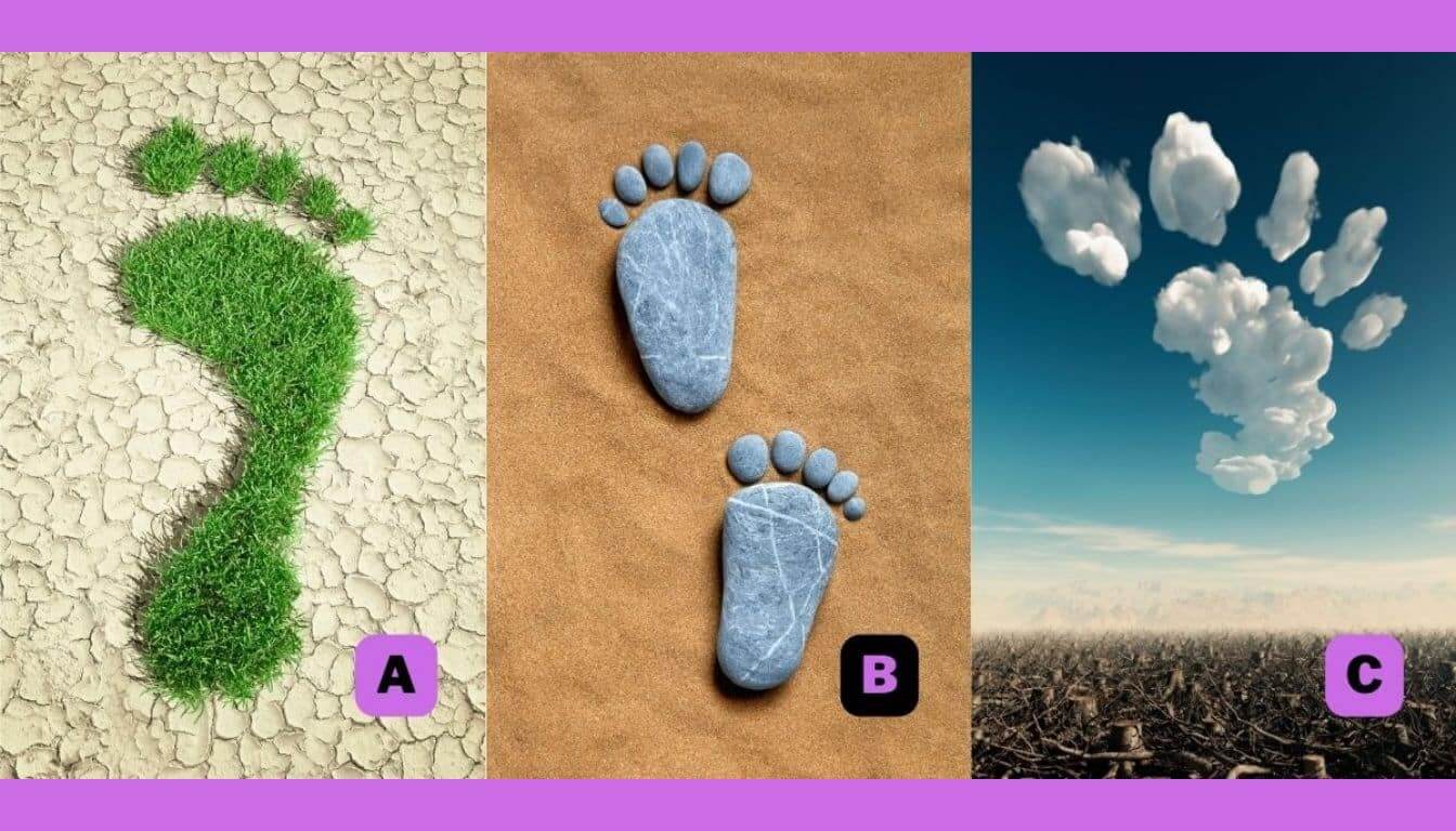Asmenybės testas: pasirinkta pėda atskleis, kas jus varo į priekį. Šaltinis: abmeyerwood.com