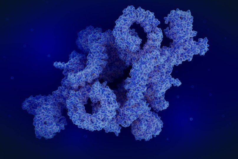 Autofagija, kas tai ir kaip ją suaktyvinti?