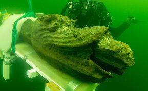 Baltijos jūros dugne rastas viduramžiais plaukiojęs laivas Gribshunden. Nuotraukos šaltinis: vrak.se