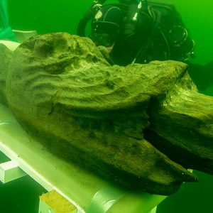 Baltijos jūros dugne rastas viduramžiais plaukiojęs laivas Gribshunden. Nuotraukos šaltinis: vrak.se