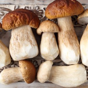Baravykų sezonas: pasidalijo patarimais kaip mėgautis šiais grybais ištisus metus