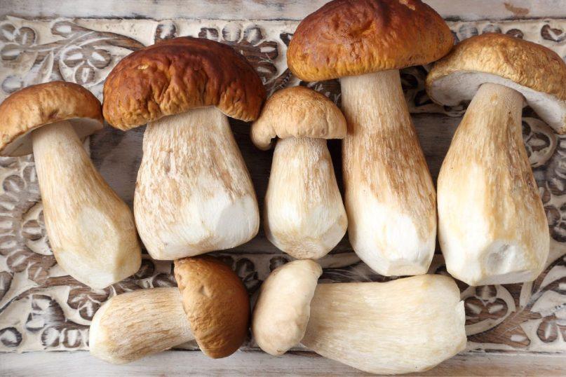 Baravykų sezonas: pasidalijo patarimais kaip mėgautis šiais grybais ištisus metus