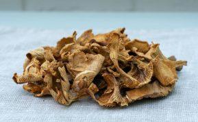 Grybų džiovinimas: dažnas daro šias klaidas, dėl kurių vėliau tenka gėrybes išmesti