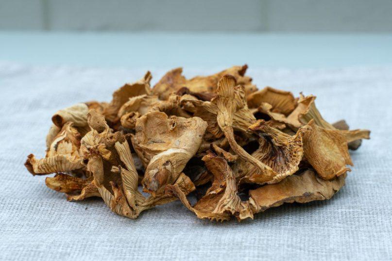 Grybų džiovinimas: dažnas daro šias klaidas, dėl kurių vėliau tenka gėrybes išmesti