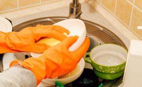 Kaip pasigaminti indų ploviklį namuose?