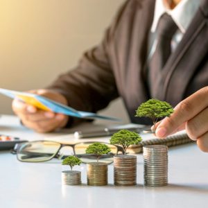 Kaip pasiruošti naujoms pensijų reformoms ir tinkamai pasinaudoti galimybėmis?