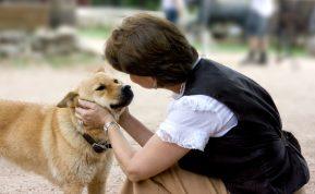 Kalbate su savo šunimi ar kate? Tai gali būti jūsų intelekto ženklas