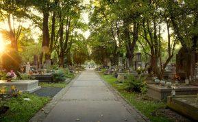 Kapų puošimas rudenį. Kokias gėles sodinti rudenį?