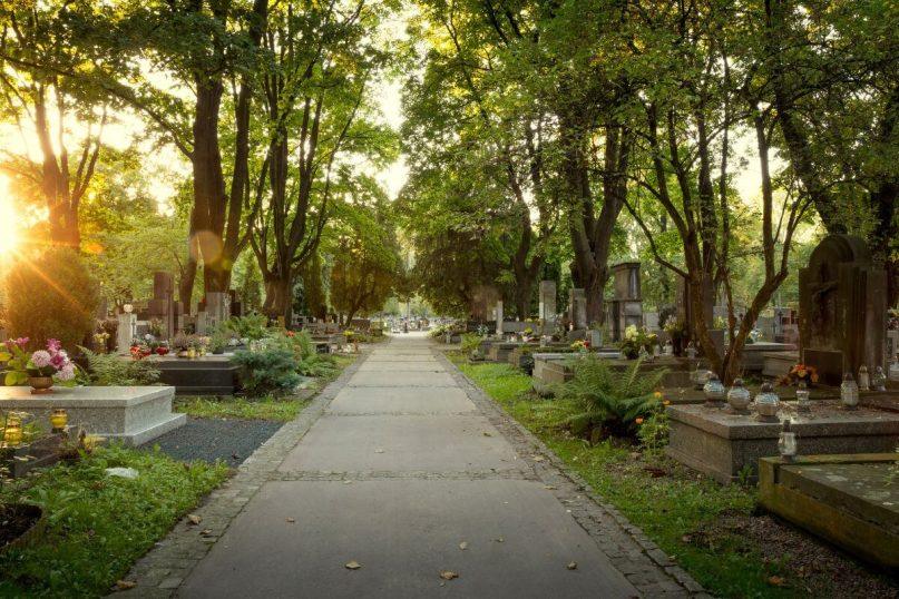 Kapų puošimas rudenį. Kokias gėles sodinti rudenį?