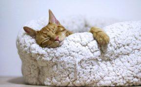 Kariškas miego metodas padedantis užmigti 96 proc. žmonių.