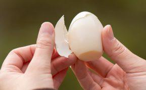 Kiaušinių virimo triukas, visiems laikams padėsiantis pamiršti prilipusį lukštą