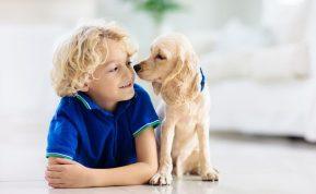 Kokia šunų veislė atitinka jūsų vaiko asmenybę?