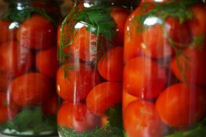 Marinuoti pomidorai su aviečių lapais, receptas žiemai