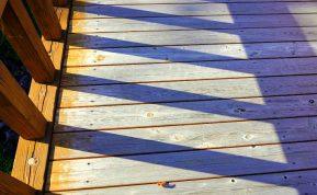 Mediena terasai: eglė ar pušis? Kurią rinktis Lietuvos klimatui? 