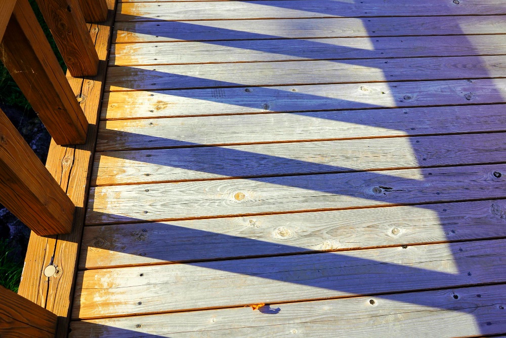 Mediena terasai: eglė ar pušis? Kurią rinktis Lietuvos klimatui? 