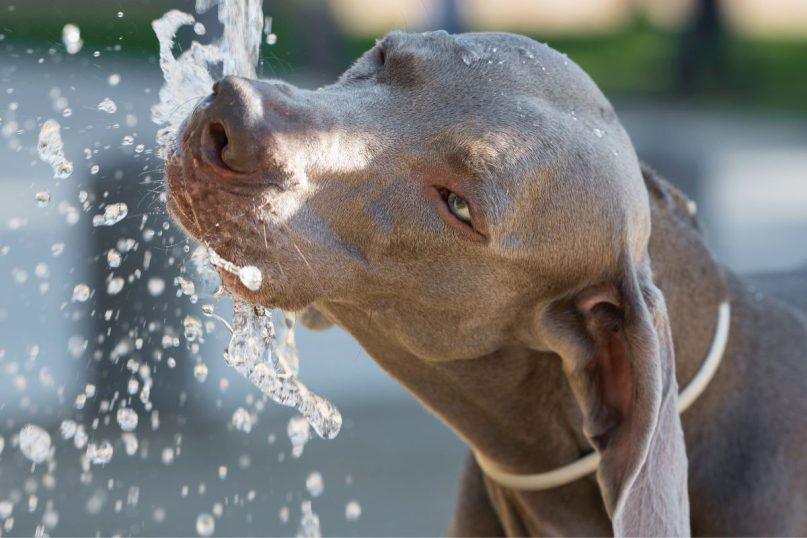 Mokslininkai įspėja – gėlo vandens netektis greitėja ir gali tapti neatitaisoma