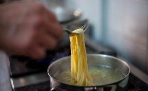 Nemokamos ir natūralios trąšos augalams. Tam neišleisite nė cento