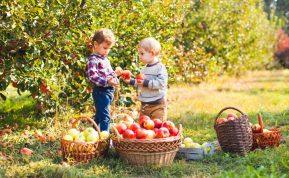 Numerologas teigia: vaikai gimę rugsėjį yra ypatingi!