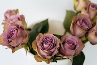 Pats geriausias būdas išsaugoti rožes šviežias