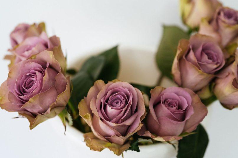 Pats geriausias būdas išsaugoti rožes šviežias