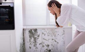 Pelėsis ant sienų? Štai ką reikia daryti.