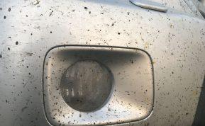 Prilipę vabzdžiai ant automobilio: žala, į kurią dažnas vairuotojas numoja ranka