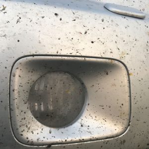 Prilipę vabzdžiai ant automobilio: žala, į kurią dažnas vairuotojas numoja ranka