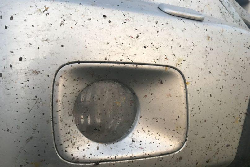 Prilipę vabzdžiai ant automobilio: žala, į kurią dažnas vairuotojas numoja ranka