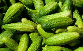 Puikus būdas laikyti agurkus: jie išlieka švieži ilgiau nei 2 mėnesius!