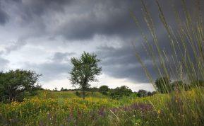 Rugpjūčio antra pusė: kodėl vasara pasitrauks anksčiau nei tikėjomės?