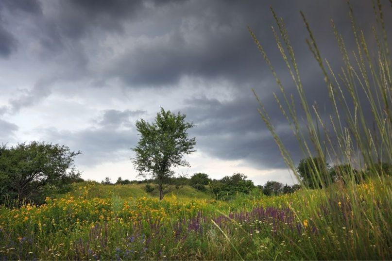 Rugpjūčio antra pusė: kodėl vasara pasitrauks anksčiau nei tikėjomės?