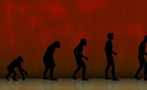 Šokiruojanti tiesa apie žmogaus pirmuonis: Homo sapiens ir Neandartaliečiai kūrė šeimas