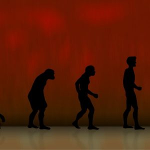 Šokiruojanti tiesa apie žmogaus pirmuonis: Homo sapiens ir Neandartaliečiai kūrė šeimas