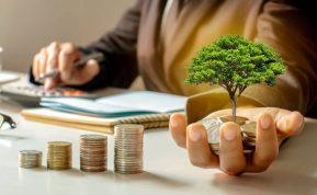 Taupymas kelia panumų? Dabar puikus metas pasidomėti.