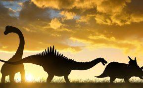 Dinozaurus pražudęs asteroidas galėjo būti ne toks mirtinas, kaip manėme