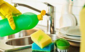 Ekspertas papasakojo apie indų ploviklius: kenkia sveikatai