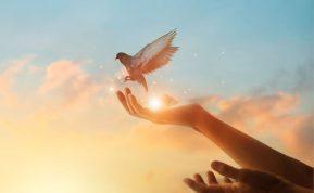 Kaip atleisti, kai niekada nesulaukiate atsiprašymo: psichologų įžvalgos